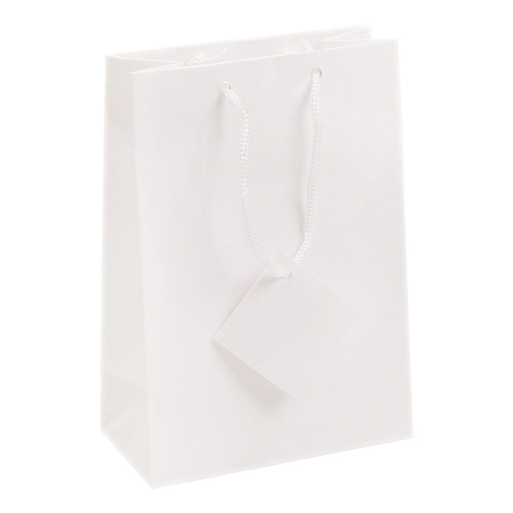 Luxury Paper Gift Bags Paper Carrier Bag Party Bag with Rope Handles 5 Sizes 