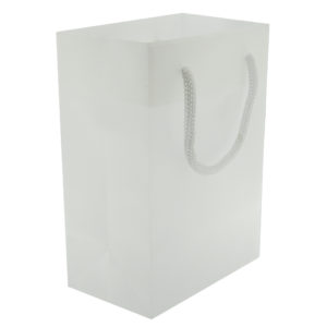 4.5x6.5 White Tote Gift Bags Frosted Paper Shopping Bag With Handle